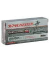 Balles de chasse Winchester Cal. 22-250 REM  