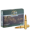 Balle de chasse Sauvestre 7x64 - spécial affût 