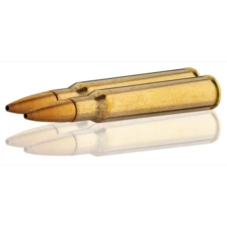 Balle de chasse Sauvestre 7x64 - spécial affût 