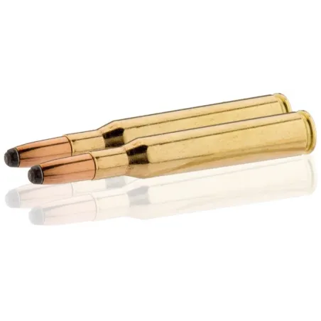 Balle de chasse Sologne cal 270 w 150 grs subsonique 