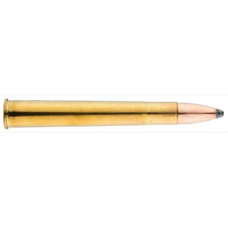 Balle de chasse  Sologne 9.3 x 74 R 