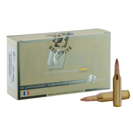 Balle de chasse Sologne 243 Win Subsonique 