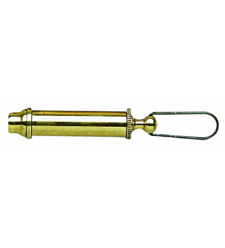 Injecteur de poudre pour armes à percussion 
