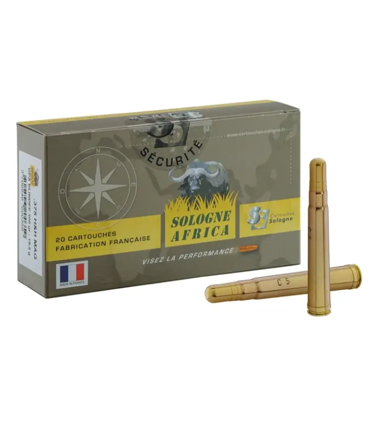 Balles de chasse Sologne GPA Blindée 375 H&H 