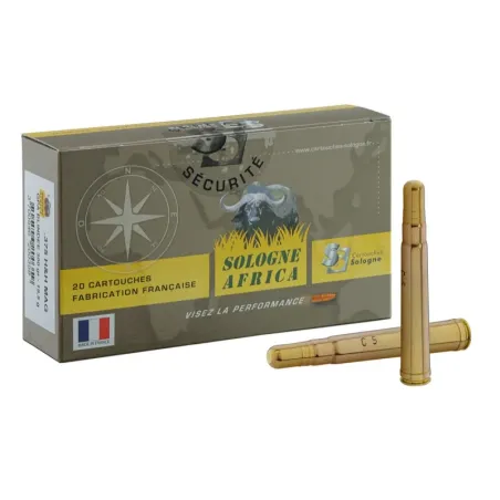 Balles de chasse Sologne GPA Blindée 375 H&H 
