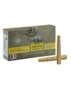 Balles de chasse Sologne GPA Blindée 375 H&H 