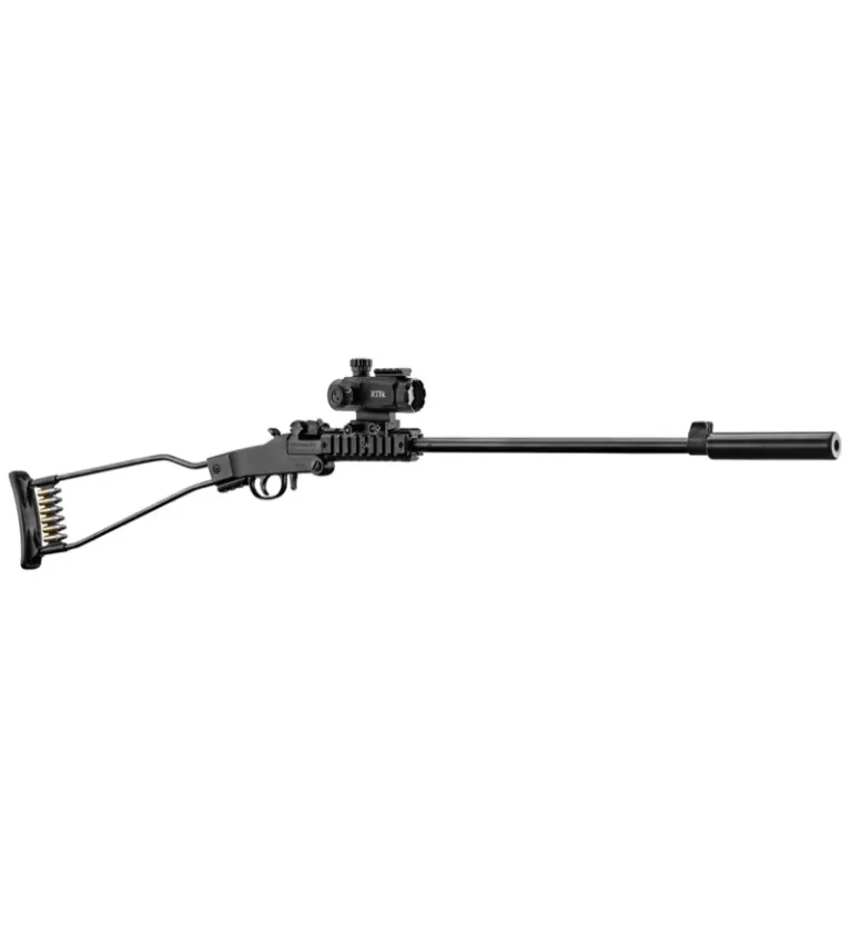 Pack carabine pliante Chiappa Little Badger 22 LR 