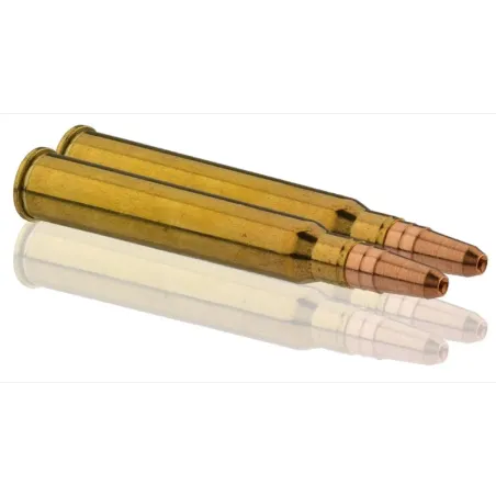 Balles de chasse Sologne GPA 30R Blaser 