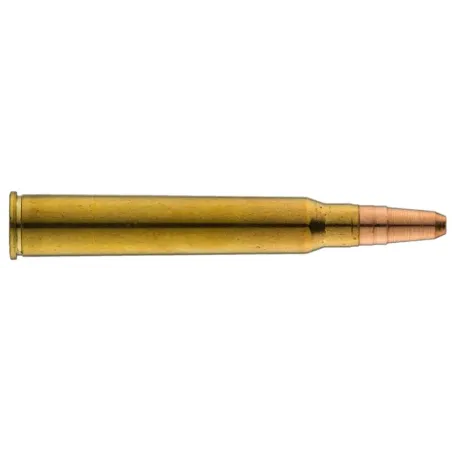 Balles de chasse Sologne GPA 30R Blaser 