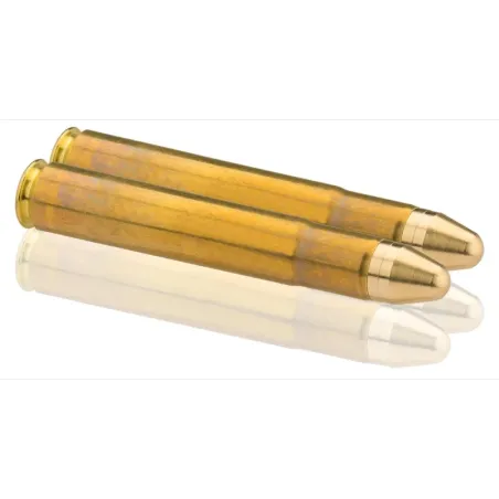 Balles de chasse Calibre 10,75 x 68 Benett 