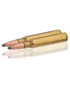 Balles de chasse Winchester 7x64 Power Point 