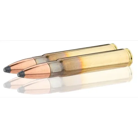Balles de chasse Sologne 9.3 x 62 