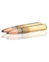 Balles de chasse Sologne 9.3 x 62 