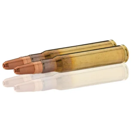 Balles de chasse Sologne GPA .30-06 