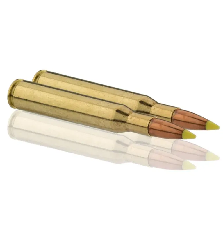 Balles de chasse Sologne .270 Win 