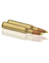 Balles de chasse Sologne .270 Win 