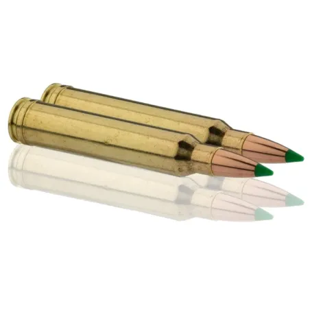 Balles de chasse Sologne .300 Win Mag  