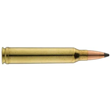 Balles de chasse Sologne .300 Win Mag  