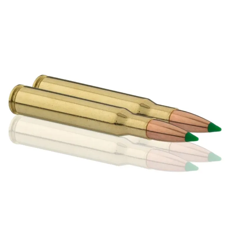 Balles de chasse Sologne 30-06 Springfield 