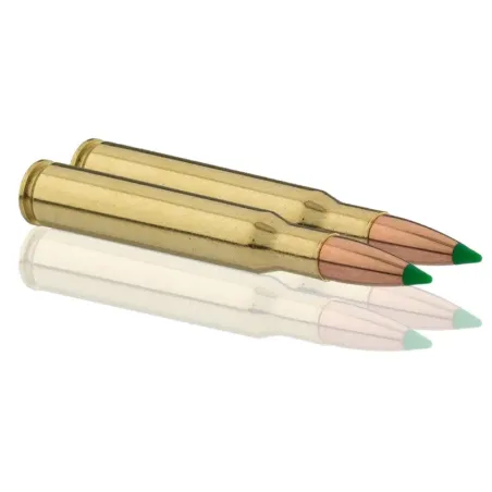 Balles de chasse Sologne 30-06 Springfield 