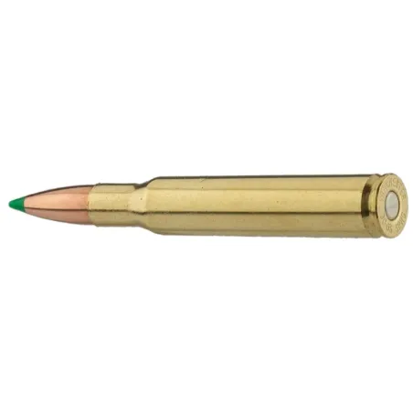Balles de chasse Sologne 30-06 Springfield 