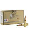 Balles de chasse Sologne .308 Win  