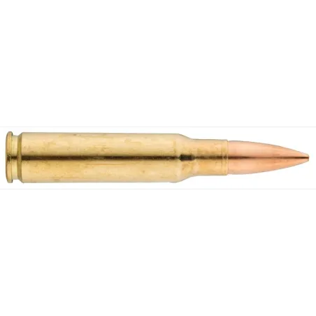 Balles de chasse Sologne .308 Win  