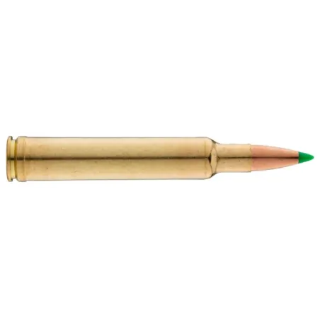 Balles de chasse Sologne .300 Weatherby Magnum 