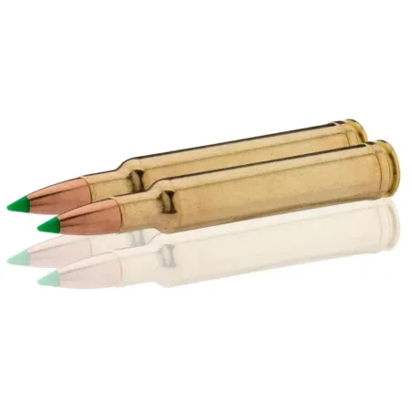 Balles de chasse Sologne .300 Weatherby Magnum 