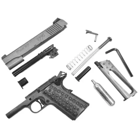 Pistolet Sig Sauer 1911 We The People 