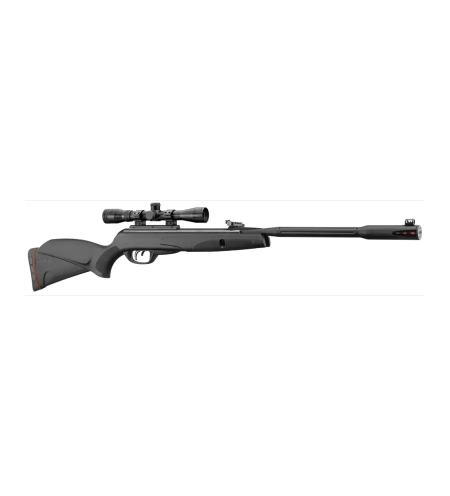 Carabine Gamo Black Fusion IGT 29 Joules + 4X32 WR 