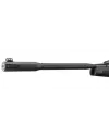 Carabine Gamo Black Fusion IGT 29 Joules + 4X32 WR 