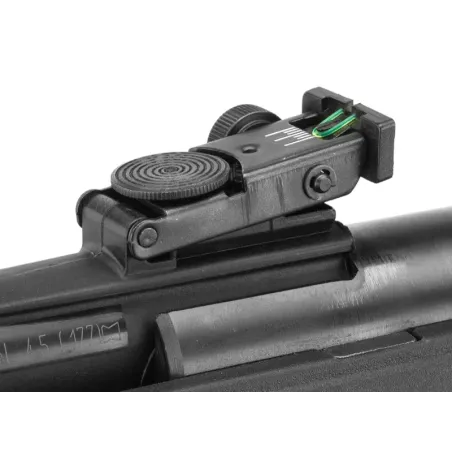 Carabine Gamo Black Fusion IGT 29 Joules + 4X32 WR 