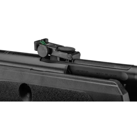 Carabine Gamo Black Fusion IGT 29 Joules + 4X32 WR 