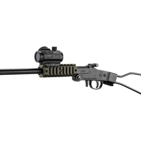 Pack carabine pliante Chiappa Little Badger 22 LR OD 