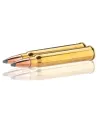 Balles de chasse Sologne 30R Blaser  