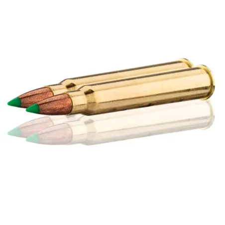 Balles de chasse Sologne 30R Blaser  