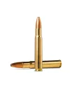 Balles de chasse Norma Calibre 35 Whelen 250 gr expansive 