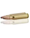 Balles de chasse Norma Whitetail 308 Winchester  