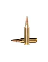Balles de chasse Norma Whitetail 243 Winchester 