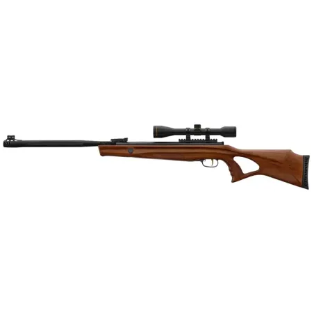 Carabine à air comprimé Beeman modèle 10620 4.5mm <19.9J 