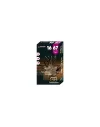 Balles Sauvestre BFS Plomb 16/67 22,5g 