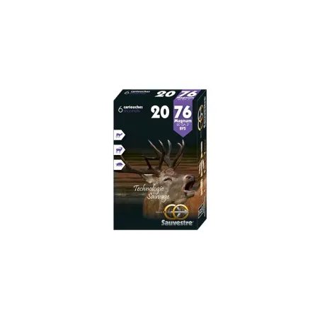 Balles Sauvestre BFS Plomb 20/70 22,5g 
