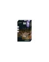 Balles Sauvestre BFS Plomb 20/70 22,5g 