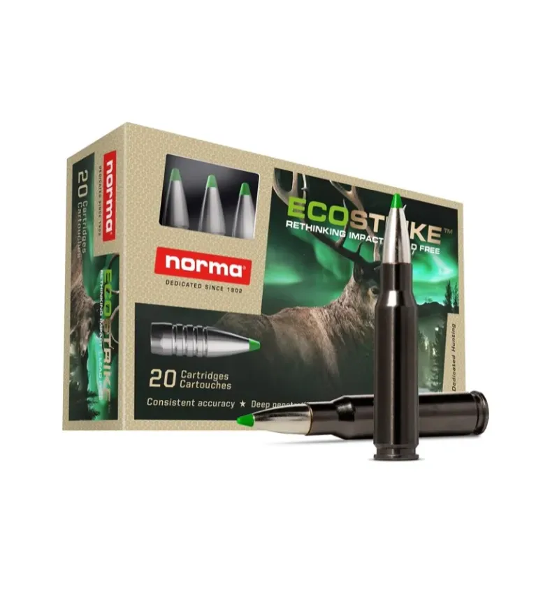 Balles Norma Ecostrike Silencer 8 x 57 JS 160gr 