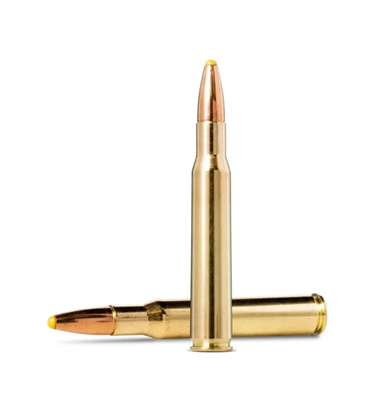 Balles Norma Plastic Point 30-06 Spring. 180gr - Tout-Chasse.fr