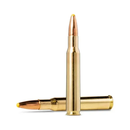 Balles Norma Plastic Point 30-06 Spring. 180gr - Tout-Chasse.fr