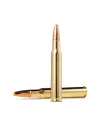 Balles Norma Plastic Point 30-06 Spring. 180gr - Tout-Chasse.fr