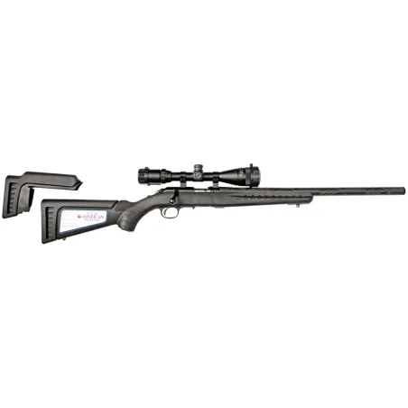 Carabine Ruger American Rimfire 22 LR + Lunette 3-9x40 