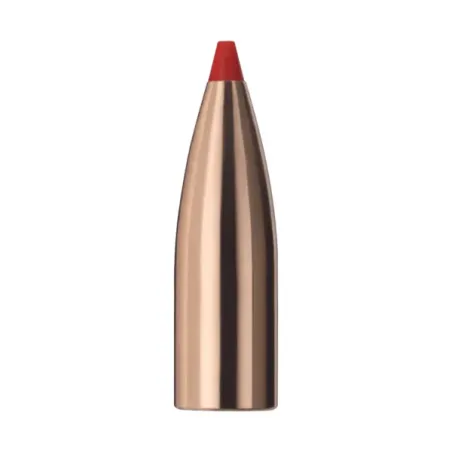 Ogive Geco Express 255 grains Cal.9,3 mm 